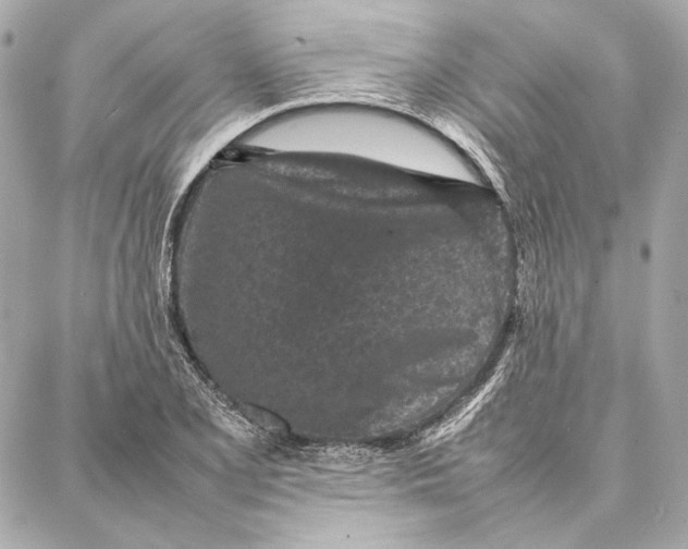 X0000087361077200705111639