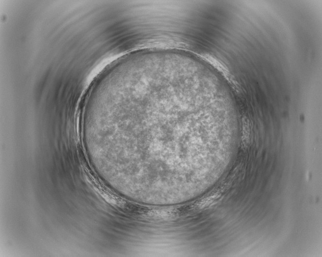 X0000087361078200705111639