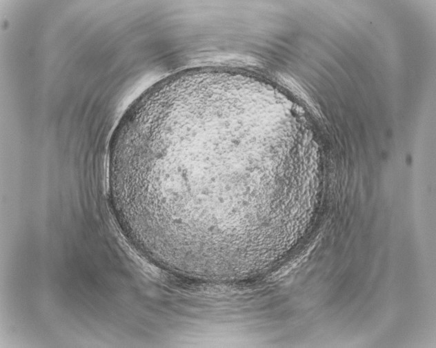 X0000087361079200705111639