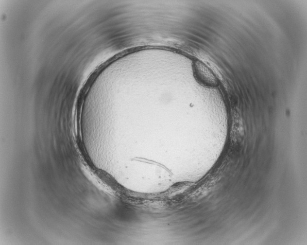 X0000087361080200705111639