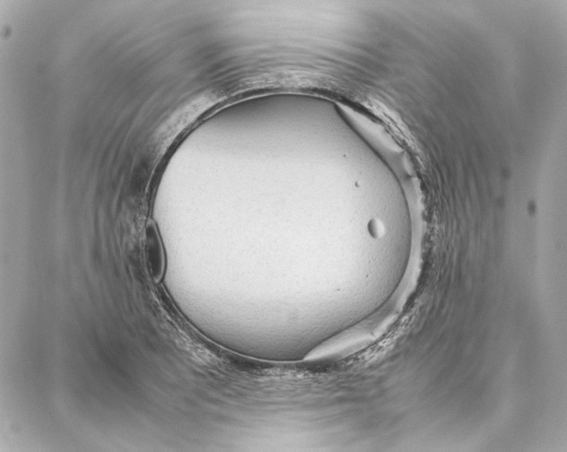 X0000087361081200705111639