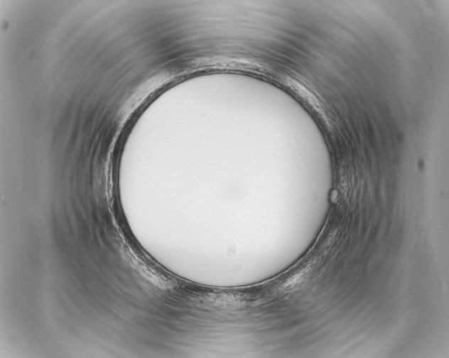 X0000087361082200705111639