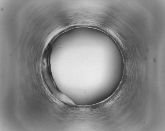 X0000087361085200705111639