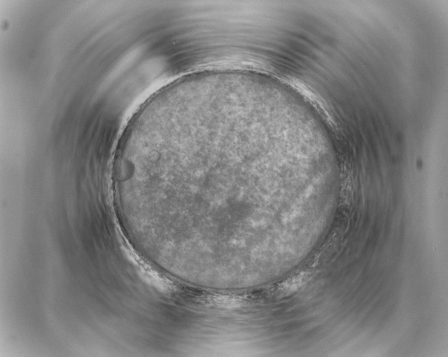 X0000087361086200705111639