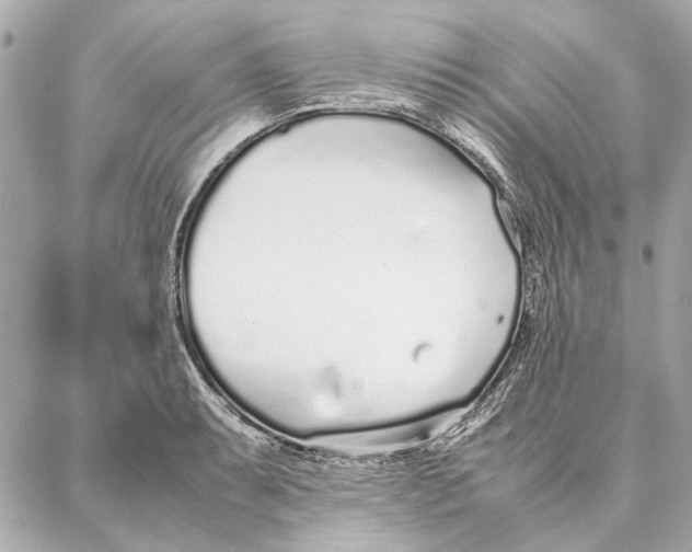 X0000087361087200705111639