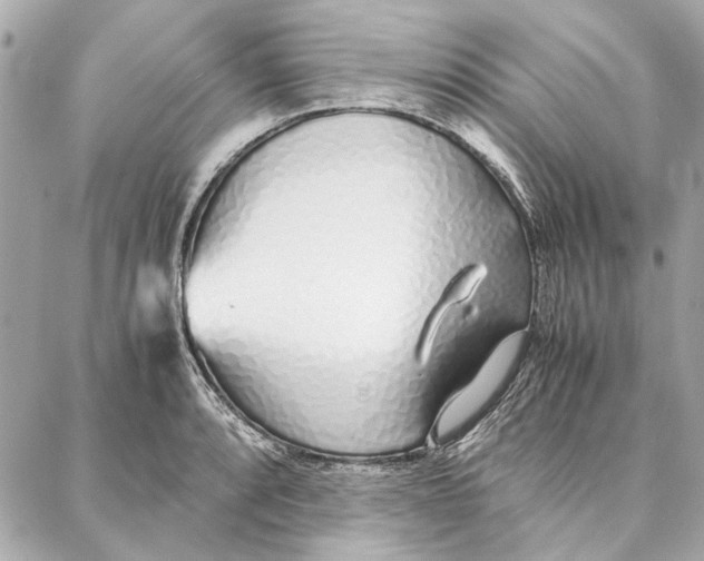 X0000087361088200705111639