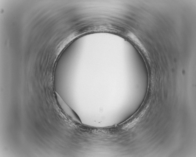 X0000087361089200705111639