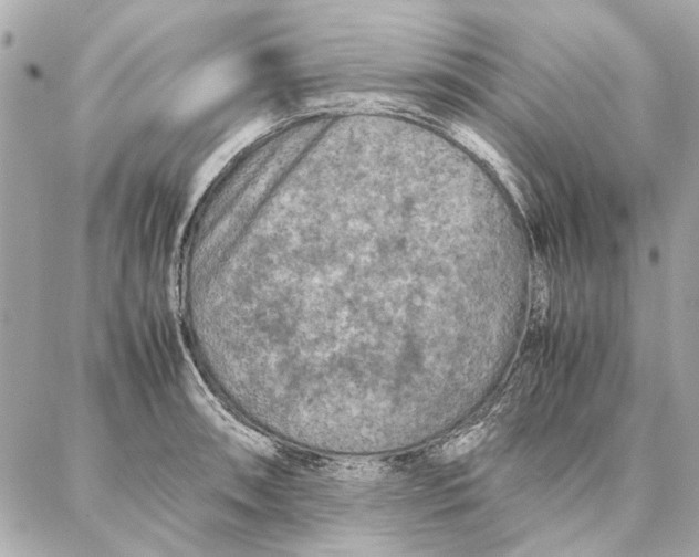 X0000087361090200705111639