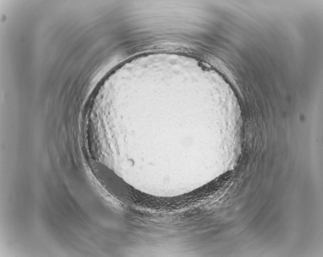 X0000087361091200705111639