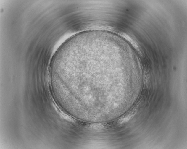 X0000087361094200705111639