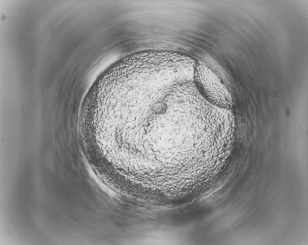 X0000087361095200705111639