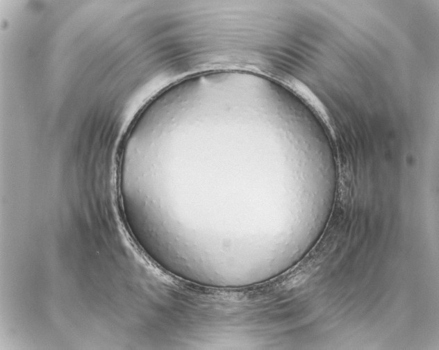 X0000087361096200705111639