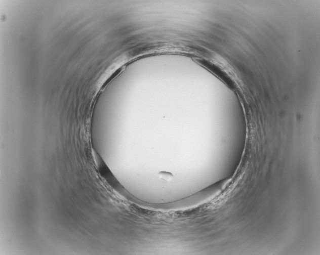 X0000087361097200705111639