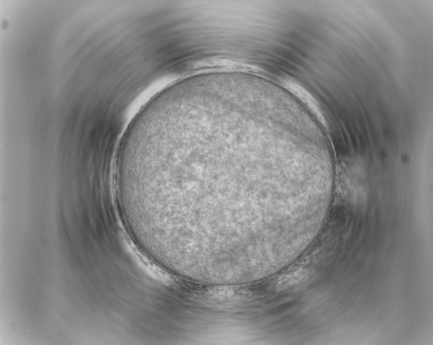 X0000087361098200705111639