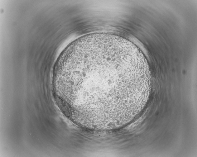 X0000087361099200705111639