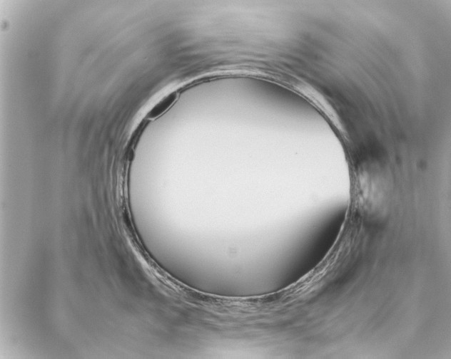 X0000087361101200705111639