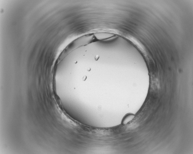 X0000087361102200705111638