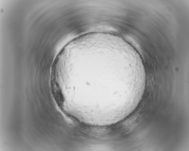 X0000087361103200705111638