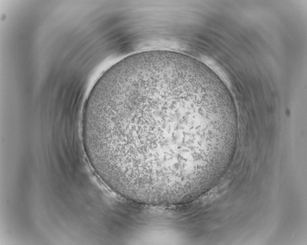 X0000087361104200705111638