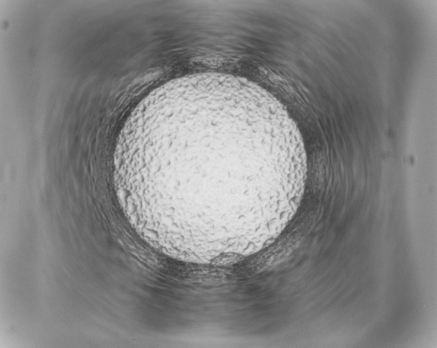 X0000087361105200705111638