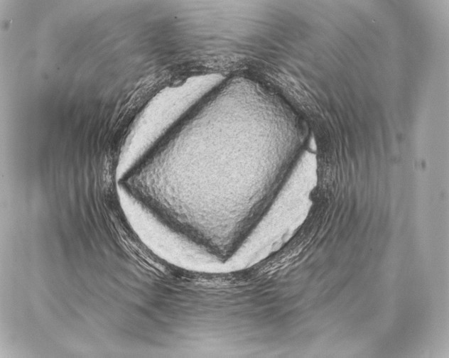 X0000087361106200705111638