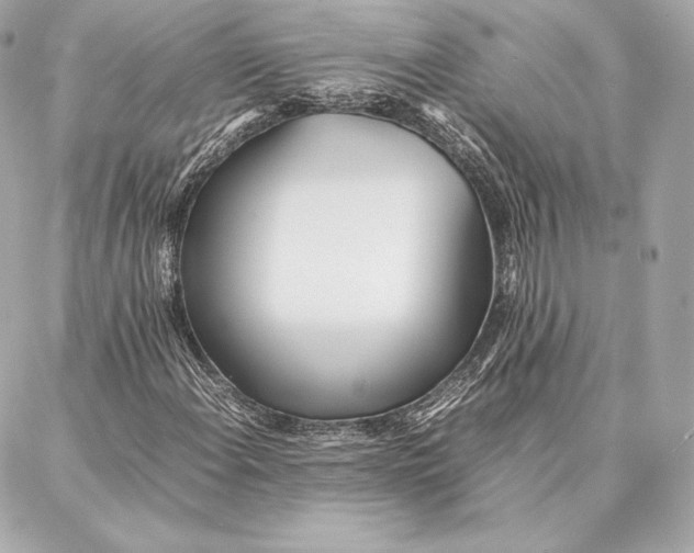 X0000087361108200705111638