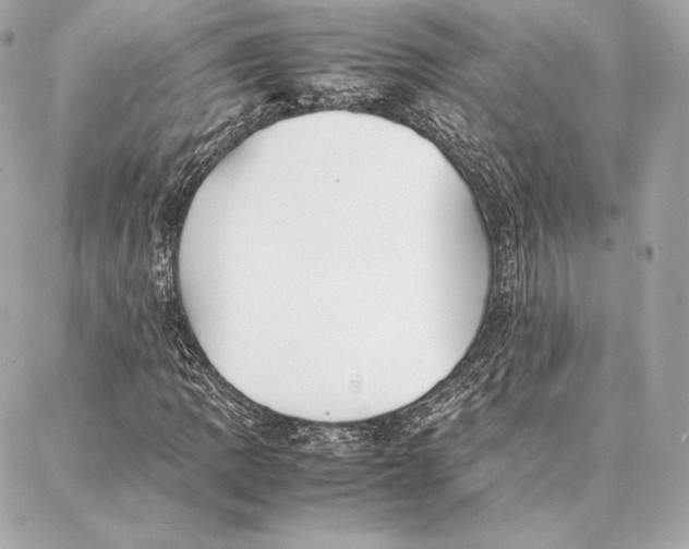 X0000087361109200705111638