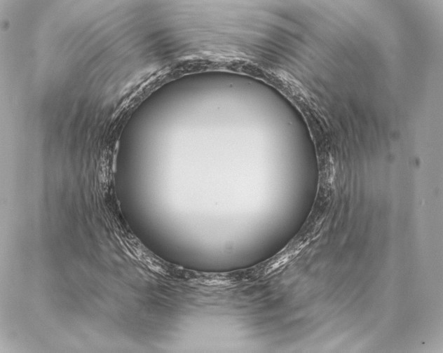 X0000087361110200705111638