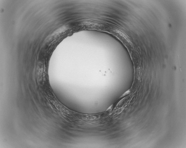 X0000087361111200705111638