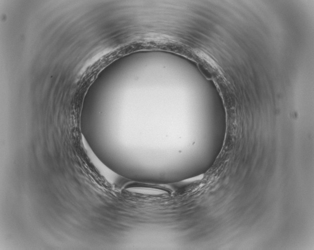 X0000087361112200705111638