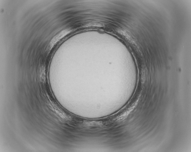 X0000087361113200705111638