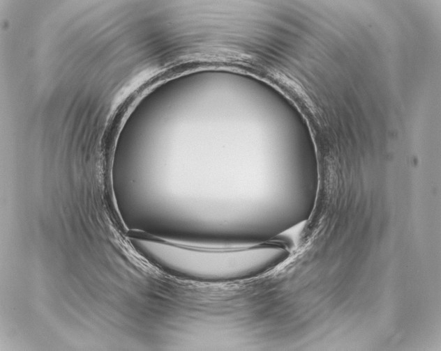 X0000087361114200705111638