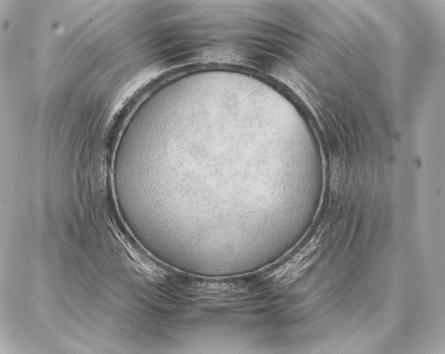 X0000087361115200705111638