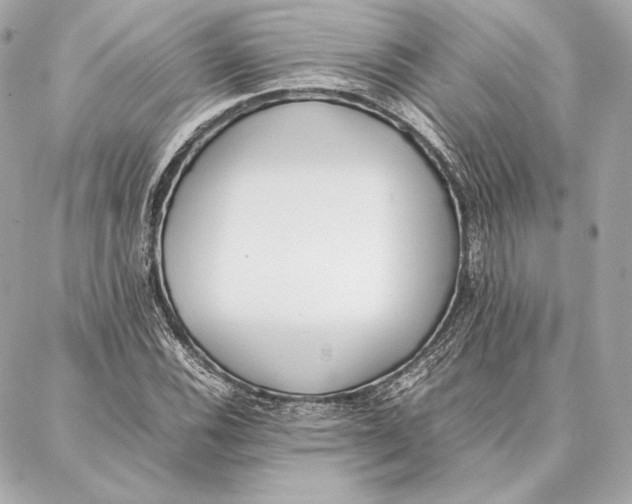 X0000087361116200705111638