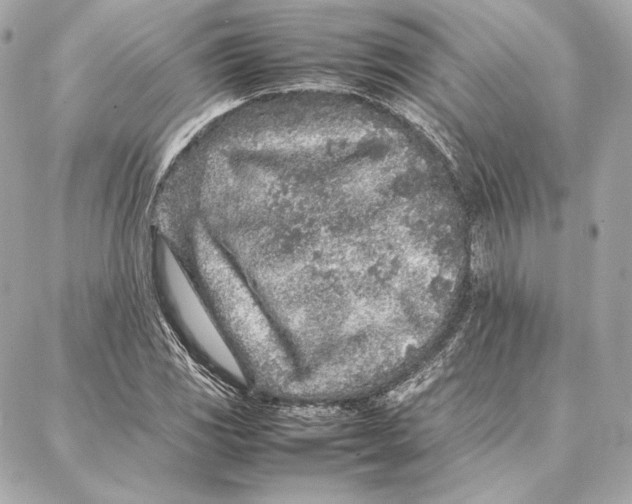 X0000087361117200705111638