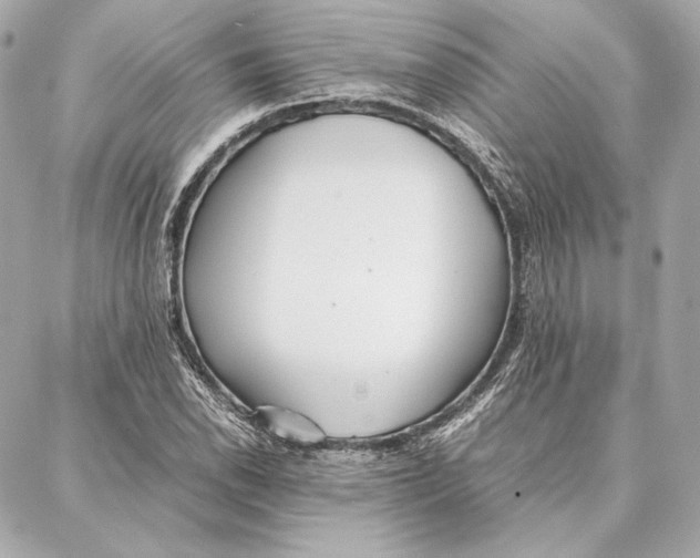 X0000087361118200705111638