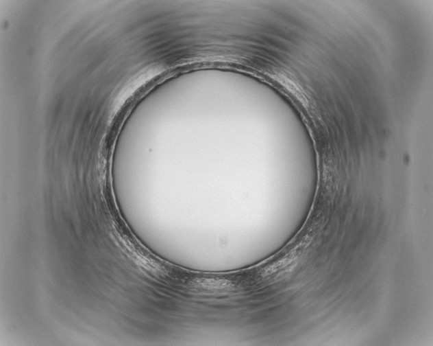 X0000087361119200705111638