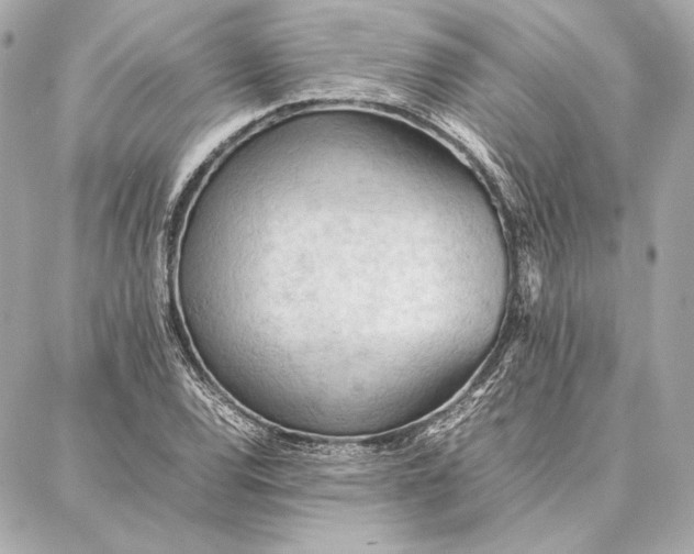 X0000087361120200705111638