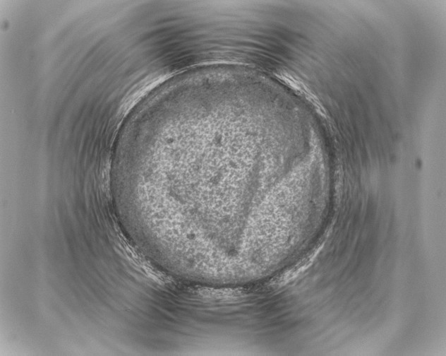 X0000087361121200705111638