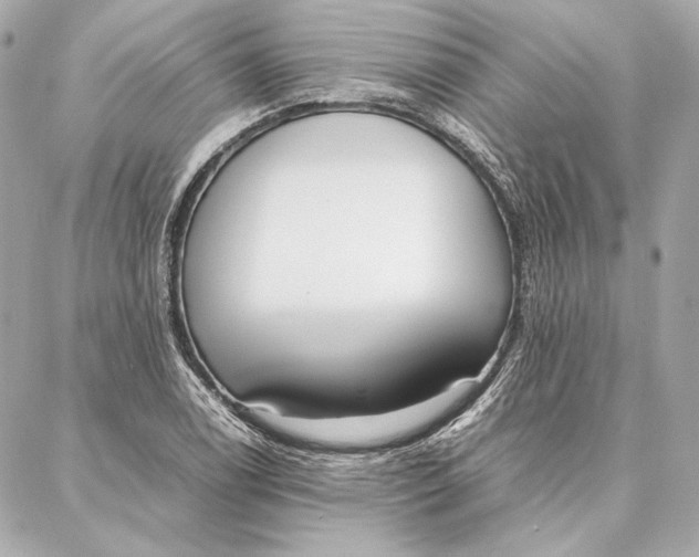 X0000087361122200705111638