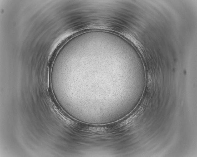 X0000087361123200705111638