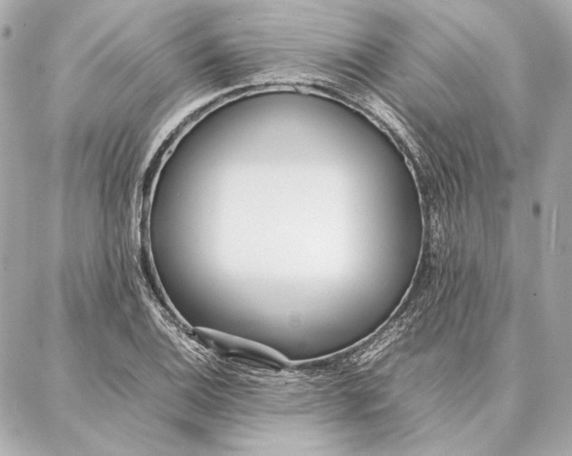 X0000087361124200705111638