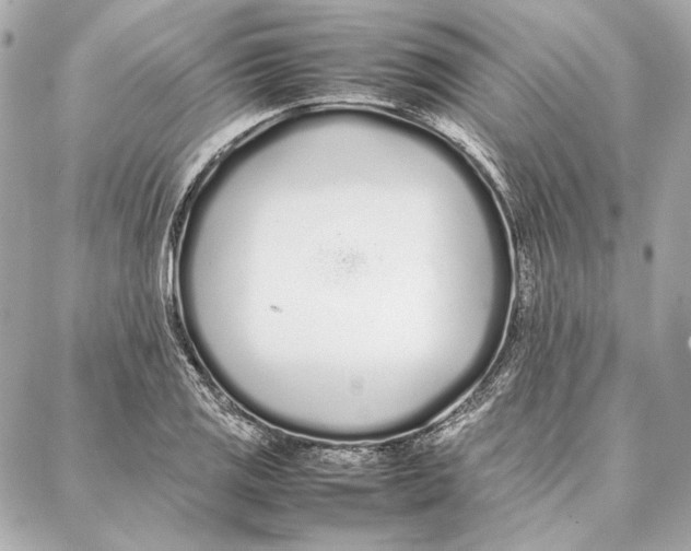 X0000087361125200705111638