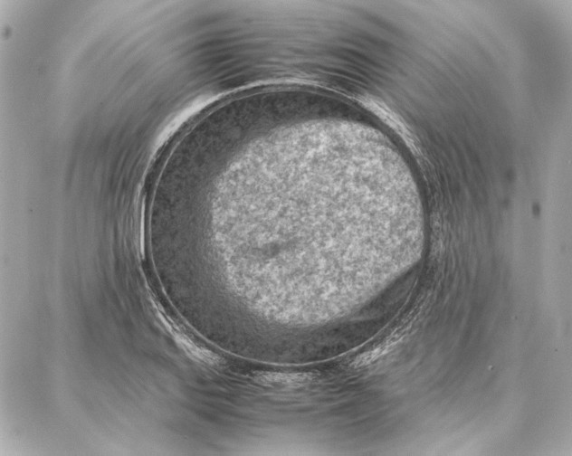 X0000087361127200705111638