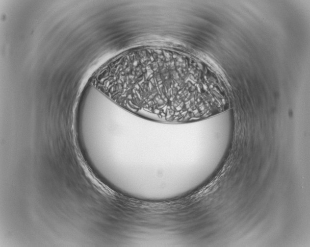 X0000087361128200705111638