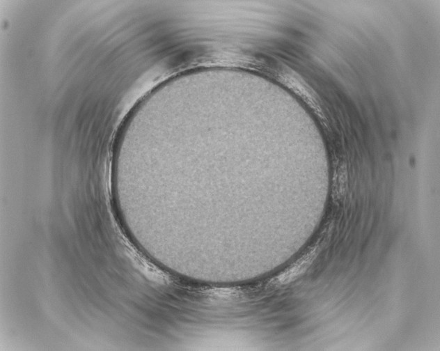 X0000087361130200705111638