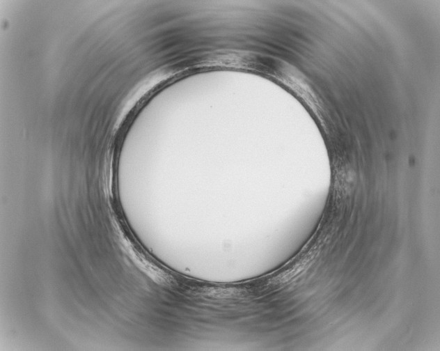 X0000087361131200705111638