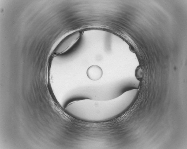 X0000087361132200705111638