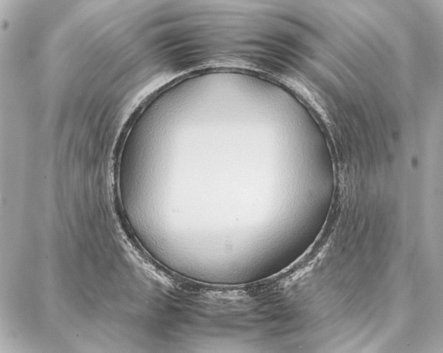 X0000087361133200705111638