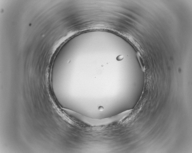 X0000087361134200705111638